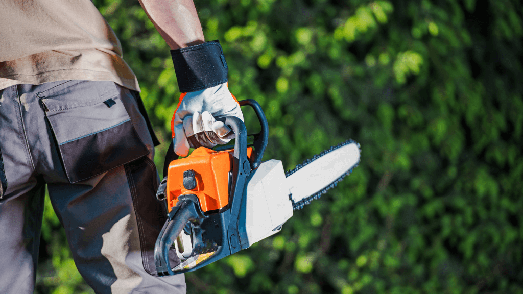 motorsåg bäst i test